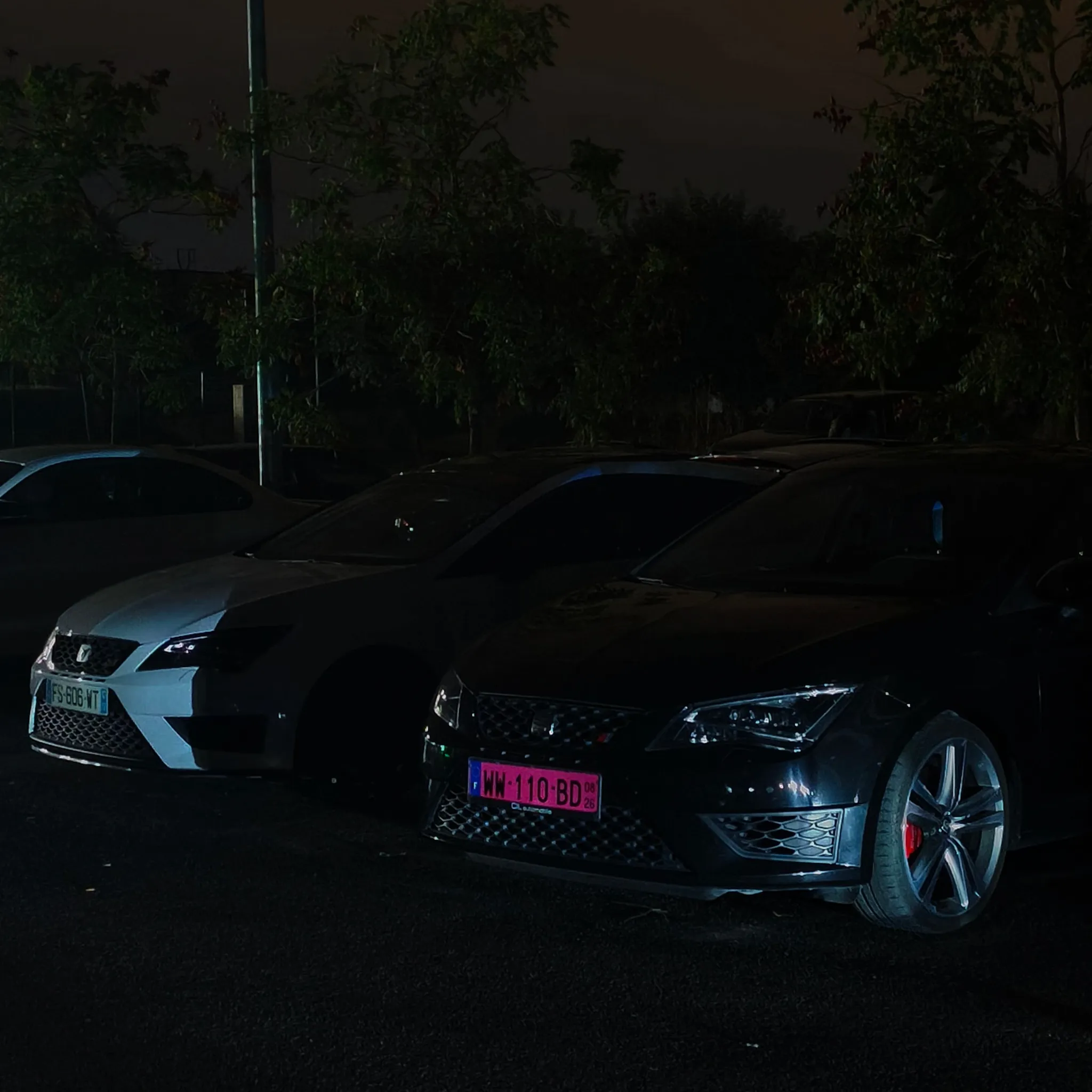 Photo 6 : Vendredi 21 août