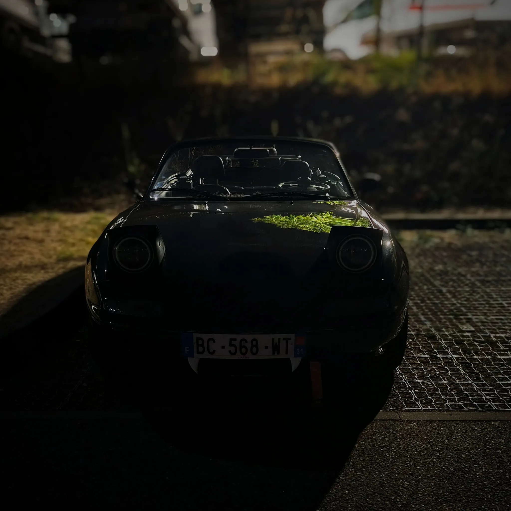 Photo 10 : Vendredi 25 septembre